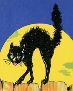 Halloween Postcard Black Cat