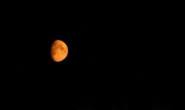 Picture Orange Blood Moon