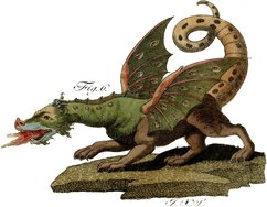 Picture of Dragon