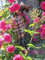 Picture of Roses & Woodpecker
