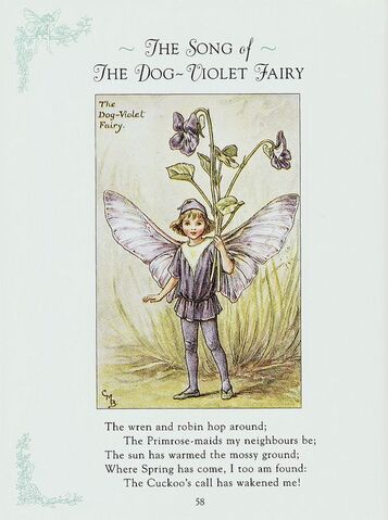 Drawing of Dog-Violet Fairy Cicely Mary Barker